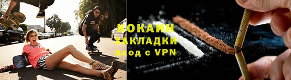 индика Горно-Алтайск