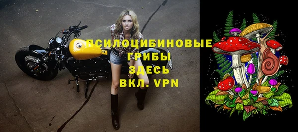 гидра Волосово